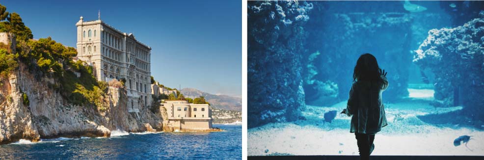 Property for sale in Monaco Ville is located next to an oceanographic museum